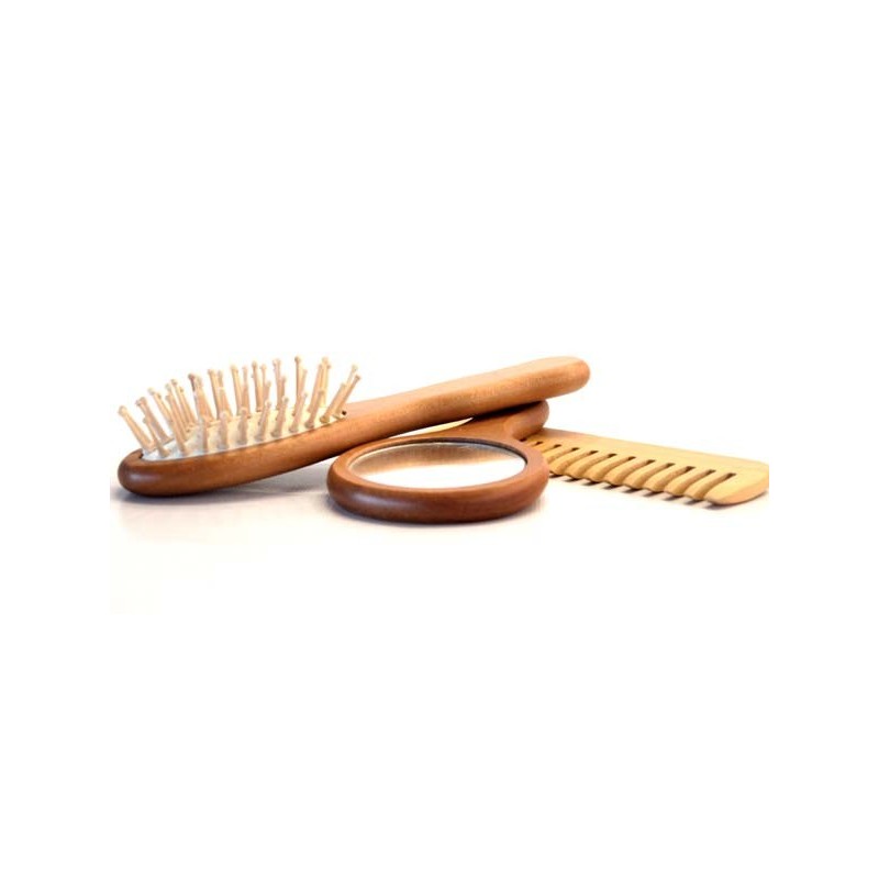 SET DE 2 BROSSE + MIRROIR