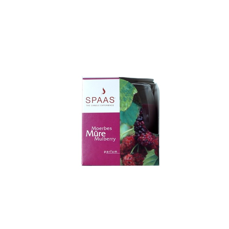 SPAAS SCENT CANDLE BLACKBERRY (27 HOURS)