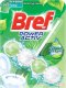 BREF WC BLOK POWER ACTIV 50GR MENTHE EUCALYPTUS